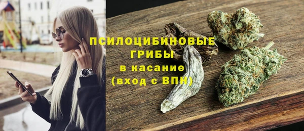 ешки Армянск