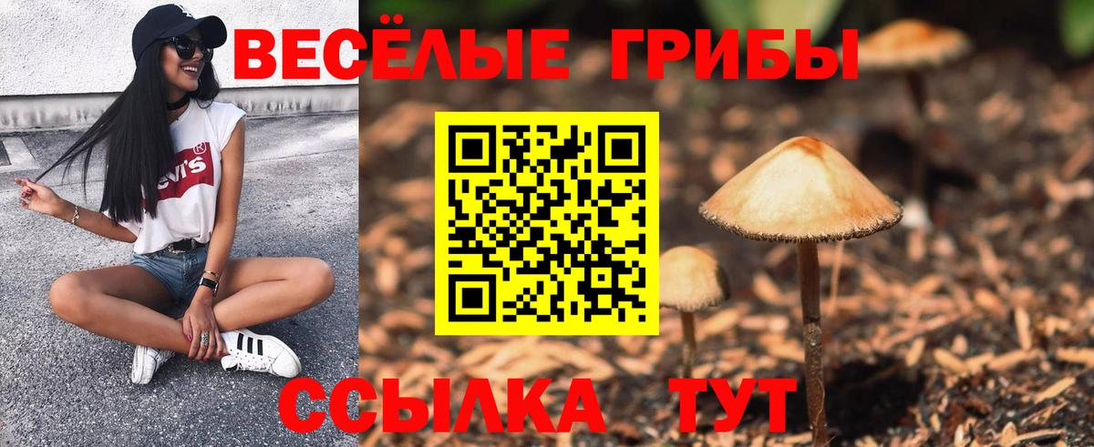 Псилоцибиновые грибы прущие грибы Дедовск