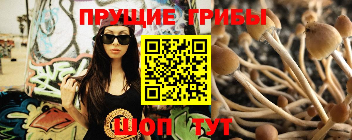 Дедовск  Галлюциногенные грибы Cubensis  купить закладку  Вход с VPN 