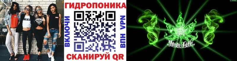 OMG ONION  Дедовск  Канабис LSD WEED 