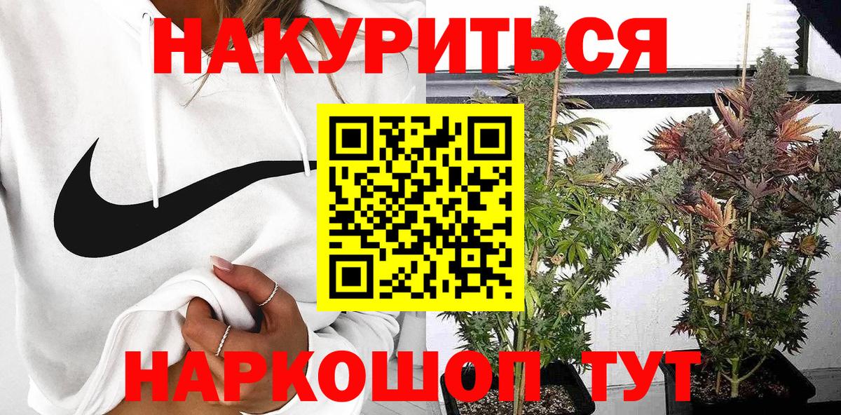 Каннабис планчик Дедовск